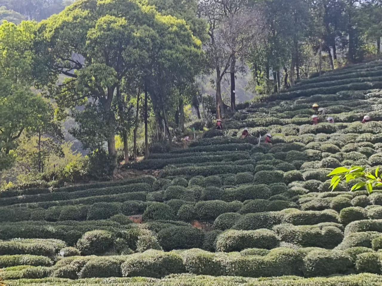 大多数事情都不是非黑即白的，从不同的视角、层面都有各自的合理性。
我们选择包容与
