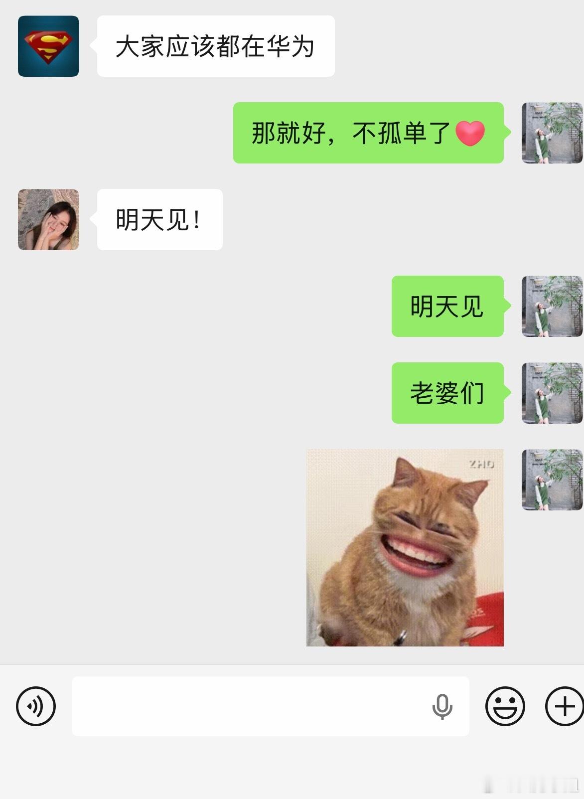 哦豁~明天要见好几个老婆想想就有点小激动呢