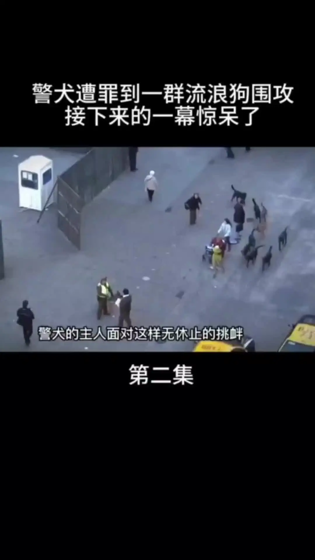 我的观影报告 内容启发搜索