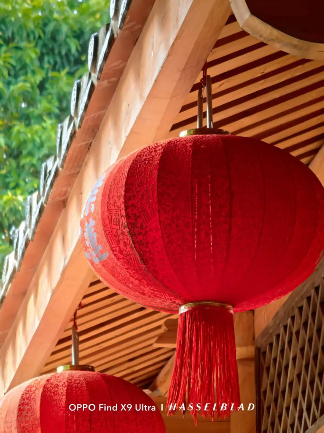 看！这里挂的是红灯笼🏮