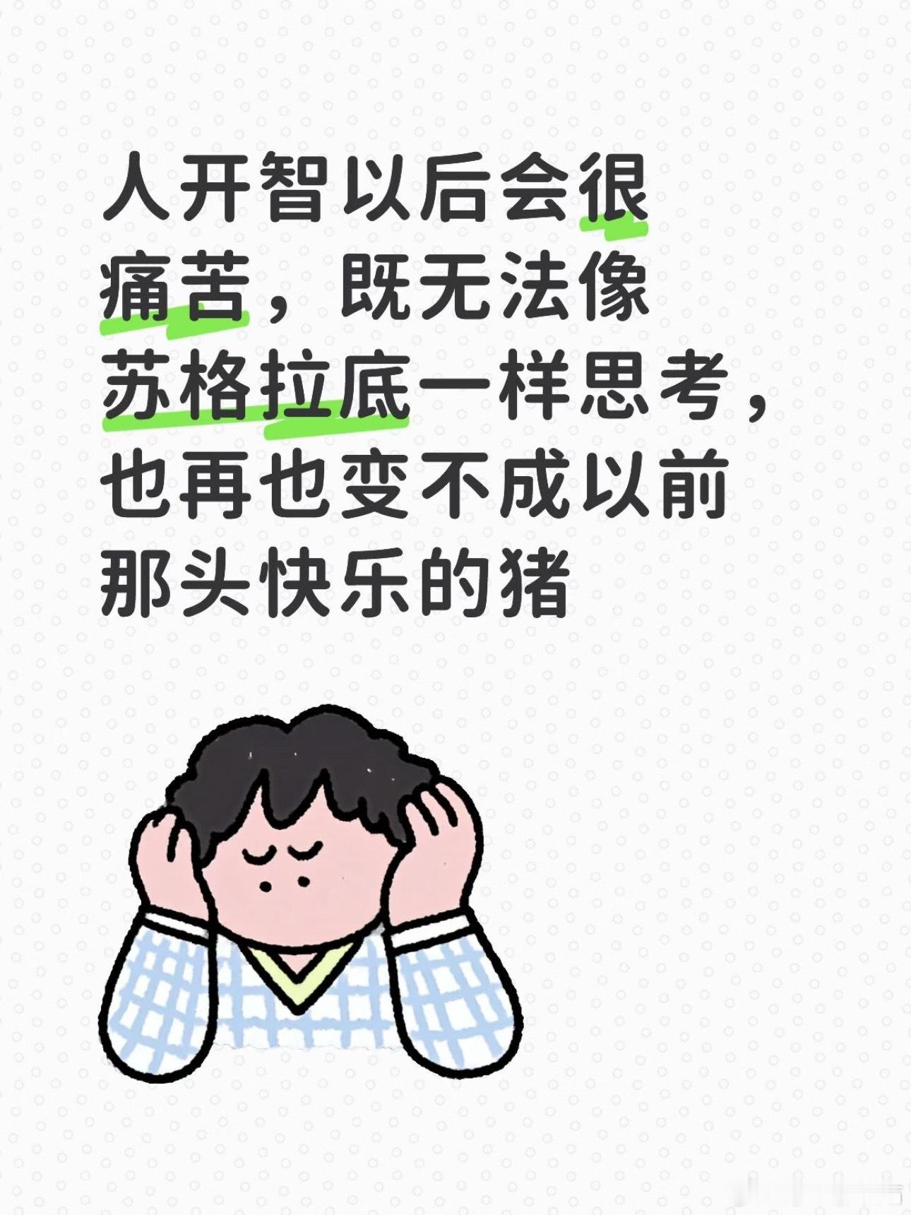 原来这就是开智的感觉是这样的