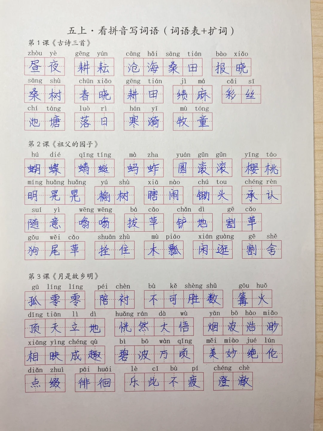 五年级下册🌻看拼音写词语