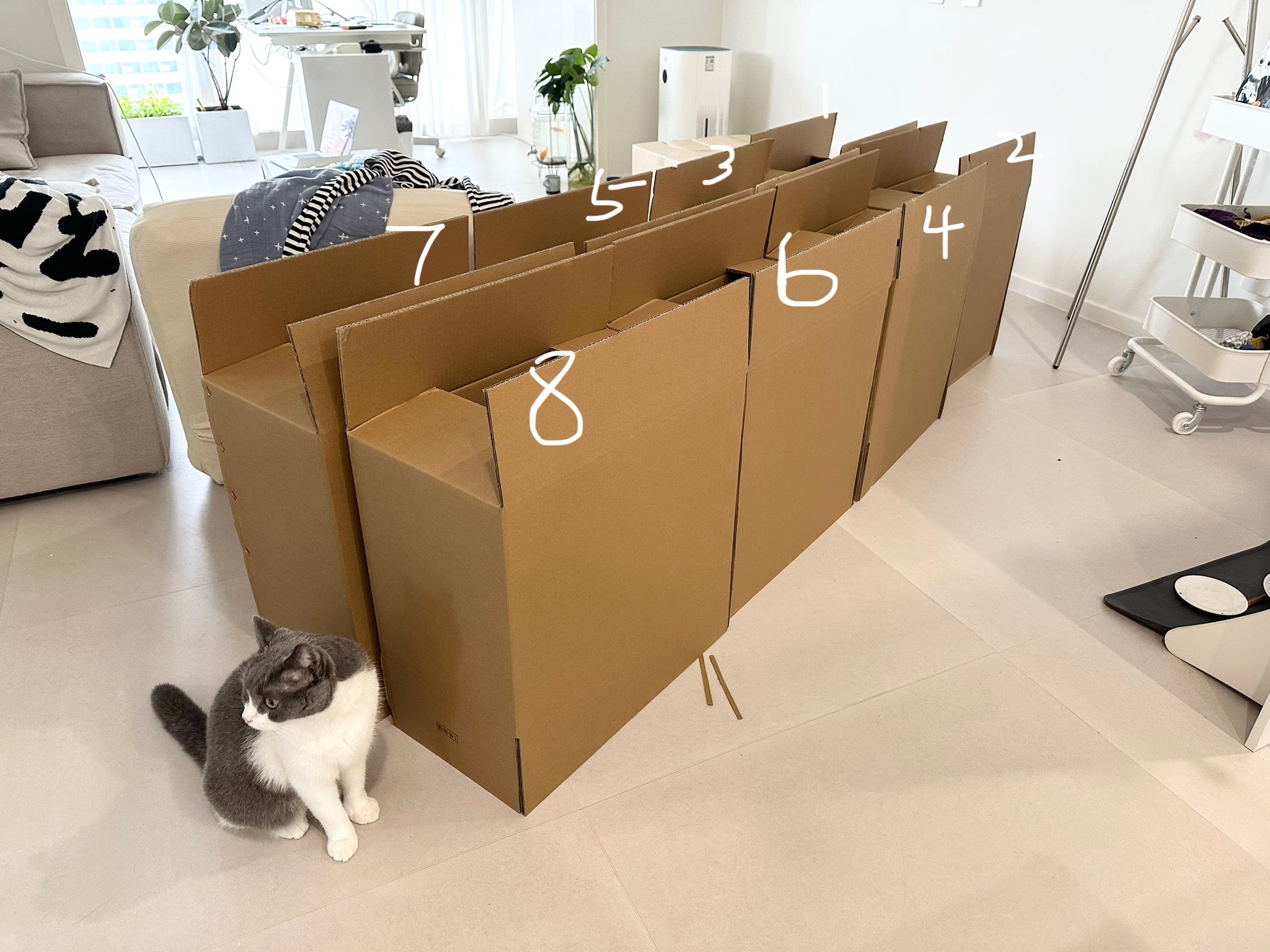 无奖竞猜，猜猜米糕在几号箱～ 