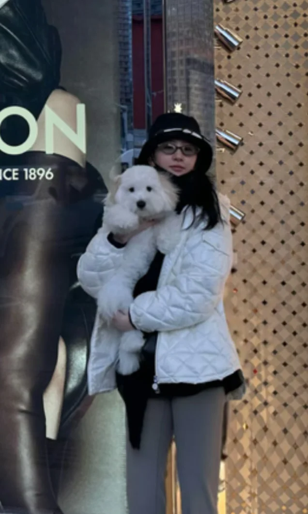 刘亦菲现在出门都带着新宠🐶真羡慕
