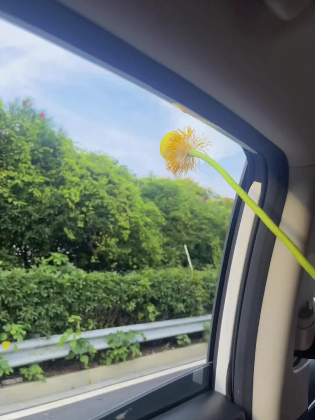 正是荷花开满池  便是人间好时节