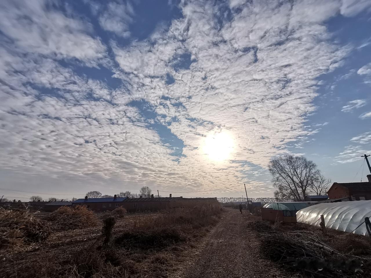 《咬文嚼字》2025流行语炸场！"韧性"登顶，这几个词戳中亿万人心声！
 
《咬