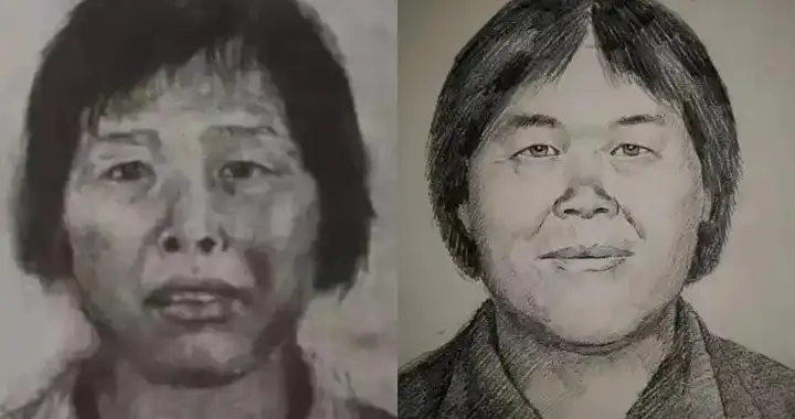 “梅姨”落网，再狡猾的狐狸，也逃不过猎手的眼睛