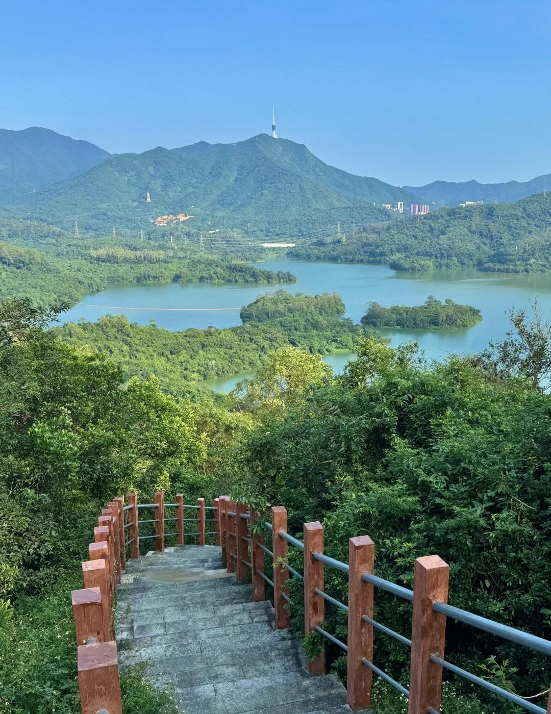 深圳好看的风景都是免费的，值得去亿次！
深圳版千岛湖，15分钟就能登顶，对于懒人