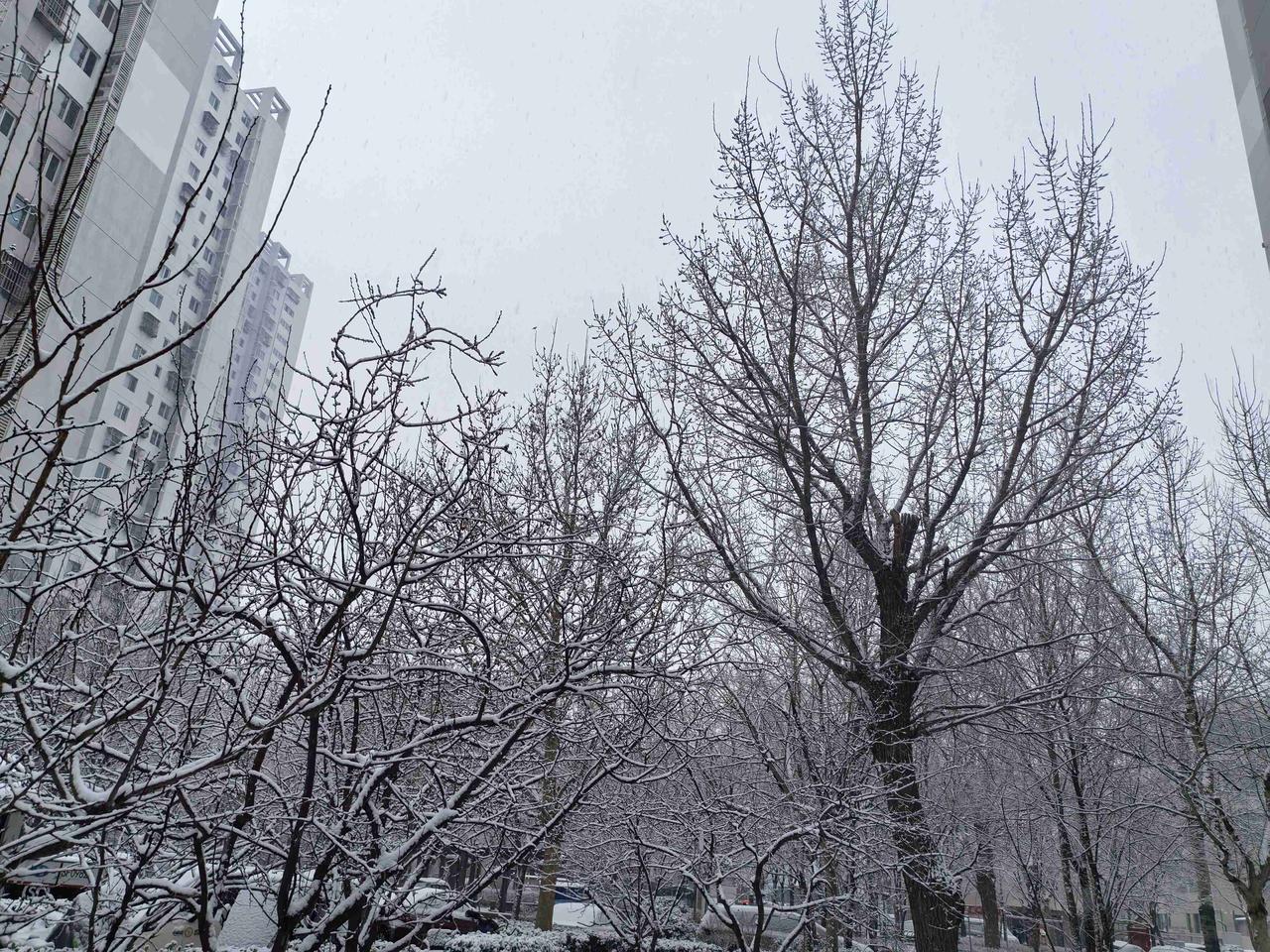 我的今日状态：💰期待暴富
我这里的天气：❄️下雪