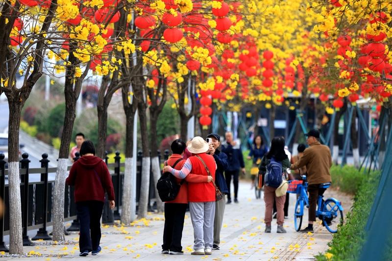 春日生活打卡季 春日生活打卡季开启了，这可不是什么任务，而是一场与时光的温柔邂逅