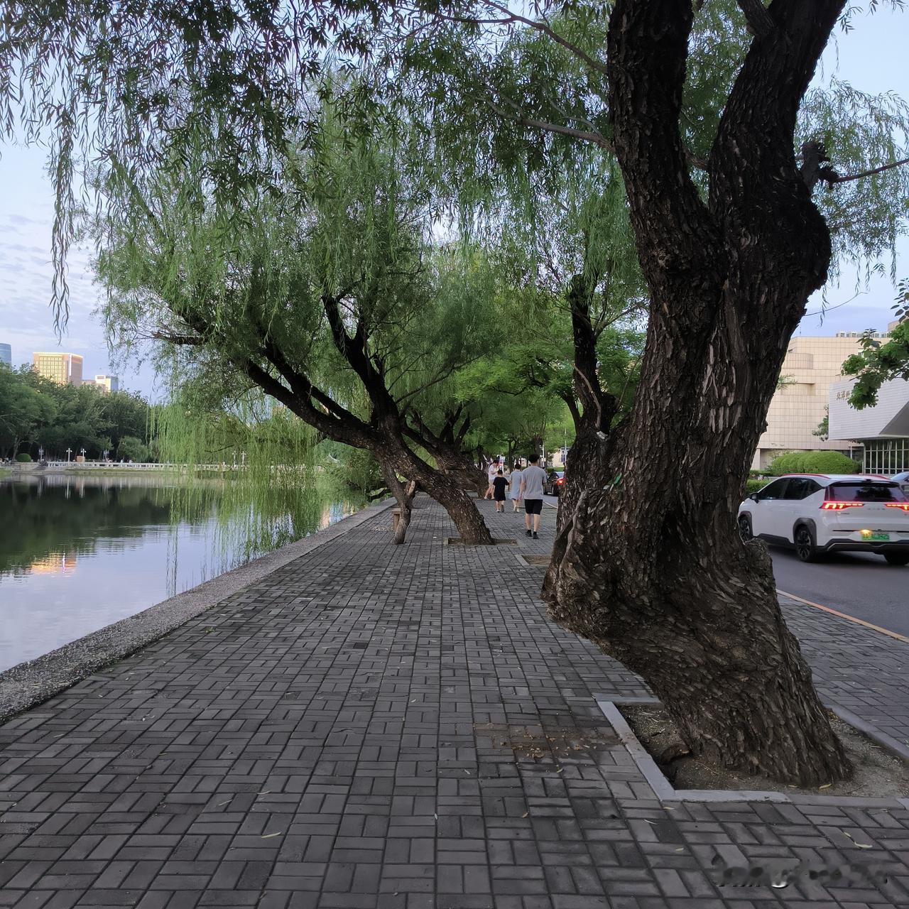 七零后老李为什么没有存款

老教师李某进城支教，同事们给他办了一个送别宴。其实就