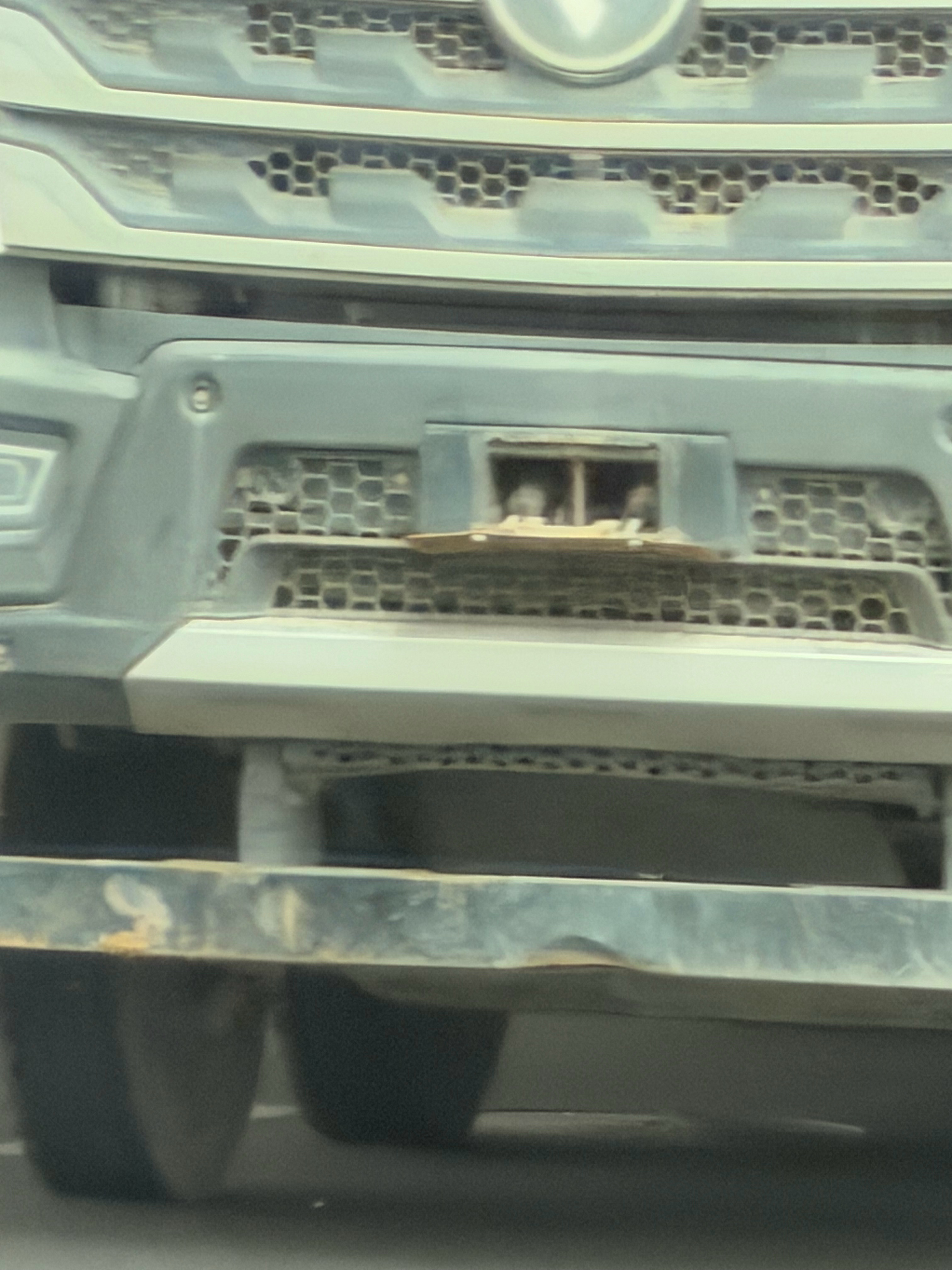 第一次见这种高科技设备（折叠牌照架）这是不是想怎么开就怎么开呀