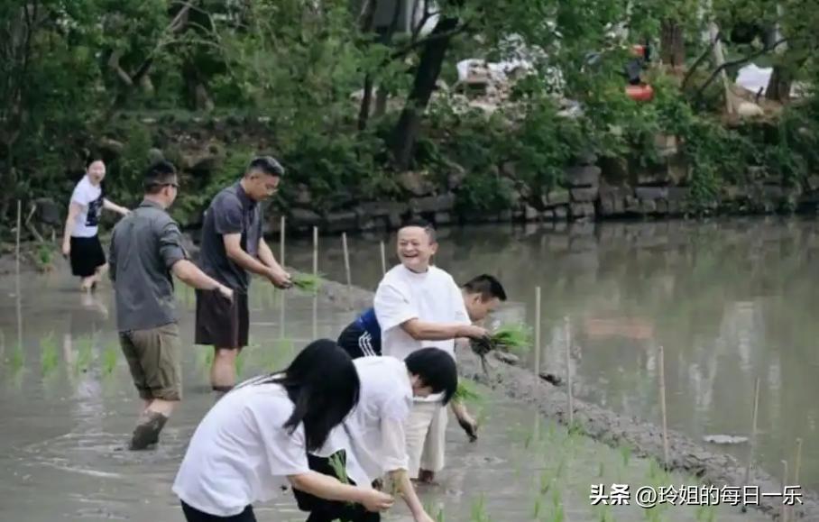 最近马云带着阿里一众高管、决策层集体下田插秧的视频刷屏网络，很多人以为只是大佬体