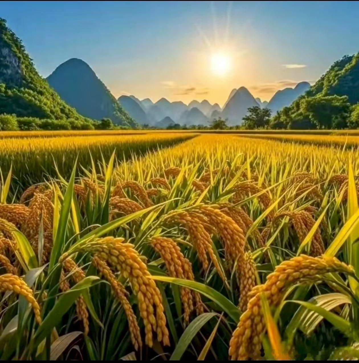 饱受生离死别之痛，常怀反哺报恩之心！￼￼￼明天正常上班曝华为非凡大师手表改名非凡