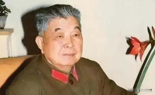 1953年，西康军区司令员刘忠，得知老母亲和原配妻子还健在， 当即带着现任妻子回