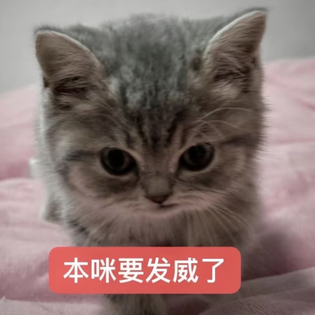 怎么今天才五号 感觉过去了一年 鹅抖分手后老孟沈汐和切片也好多高赞 评论全是问什