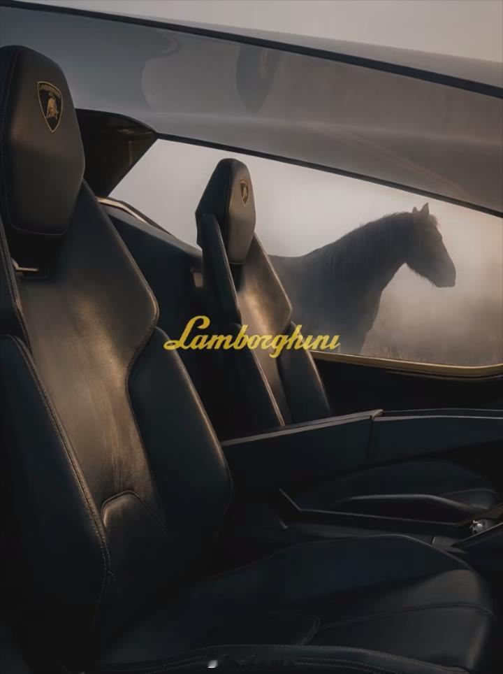 这“饲料槽”可真价值不菲