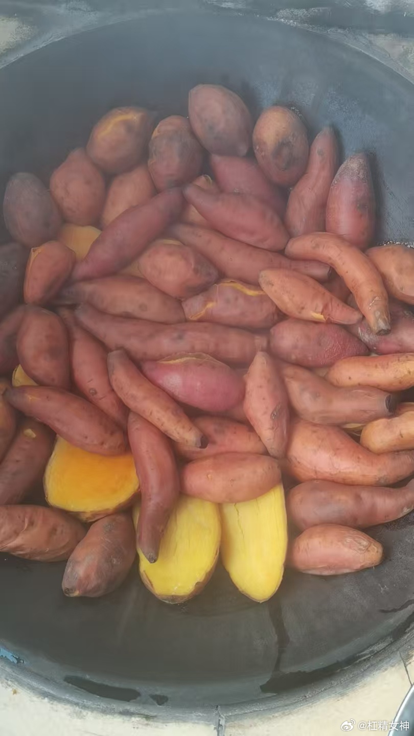 烤红薯忘了这一步等于白烤看看老妈用家里大锅蒸的红薯 ​​​