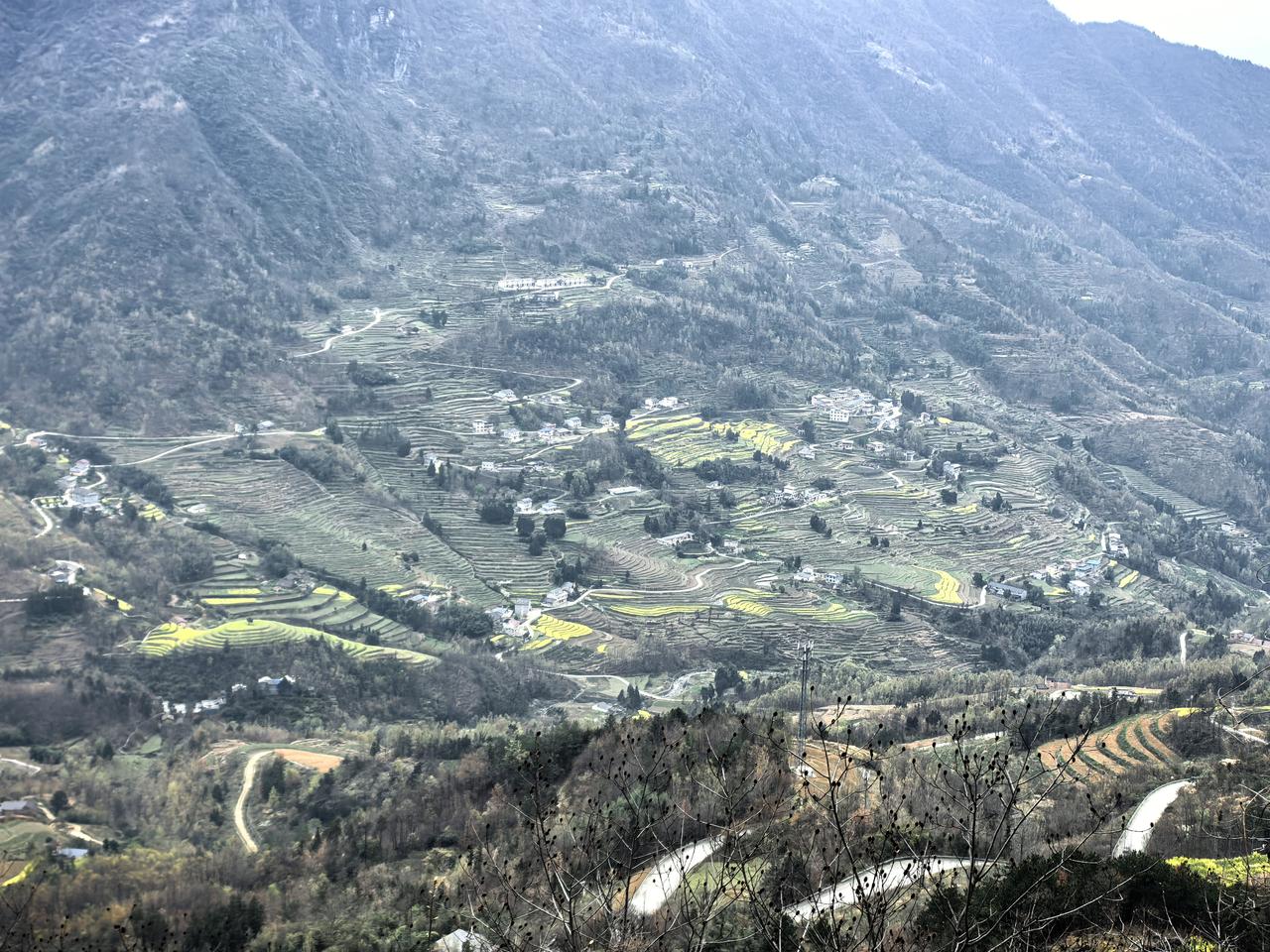 春日生活打卡季周末踏春狂欢日，遍地都是人群，其实大部分时间都是在路上，马路两边的