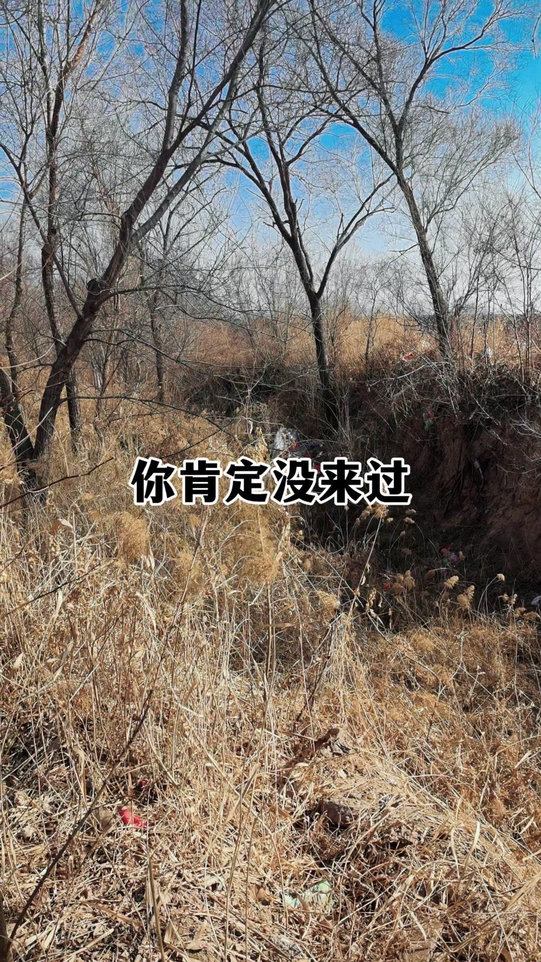 骑行穿过芦苇荡，意外发现郭家庄藏着座震撼水闸，青砖矮墙配砖垛，原来上世纪六七十年