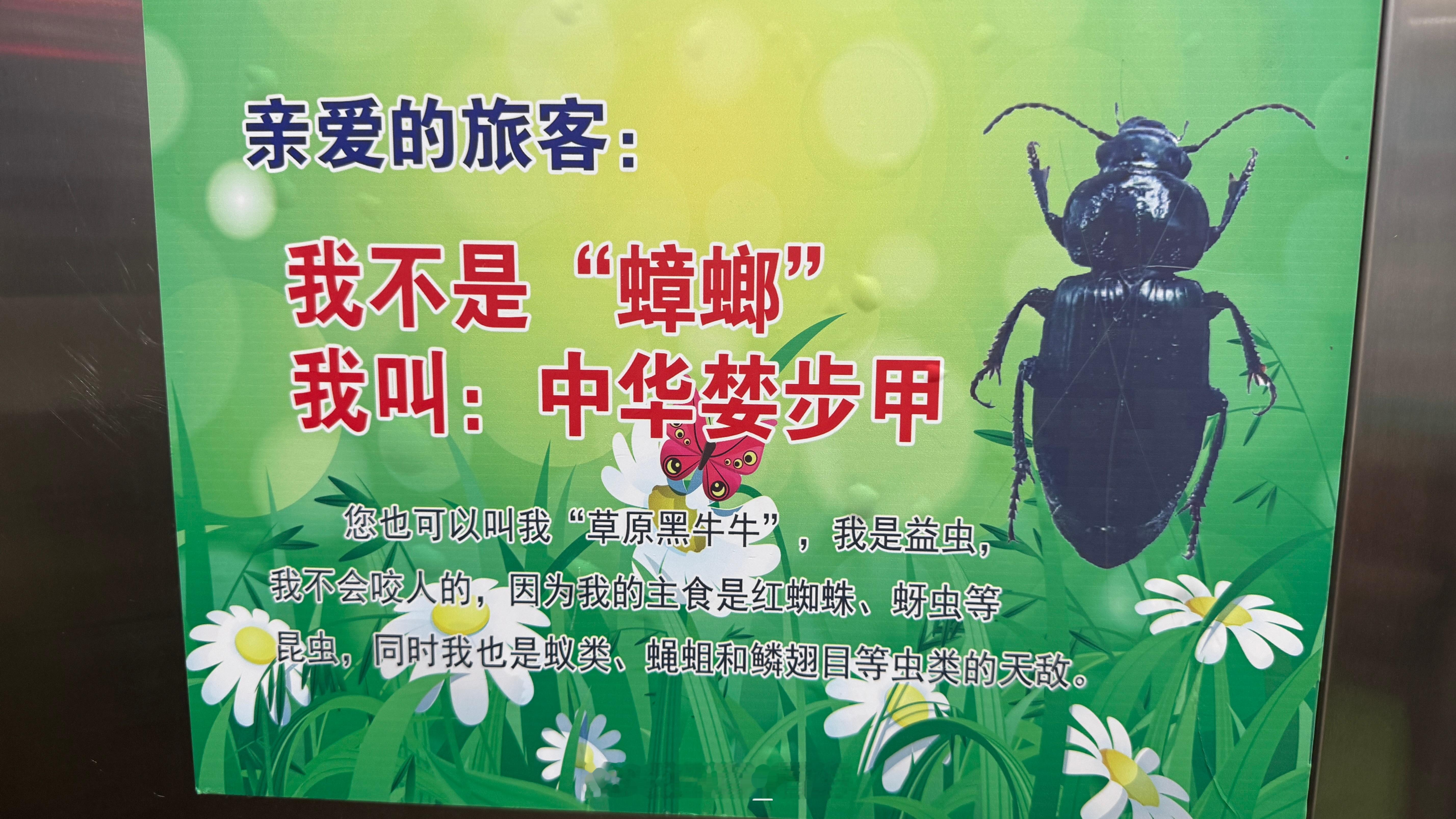 哦，知道了，那你也不能在屋里爬来爬去啊 赤峰·林西