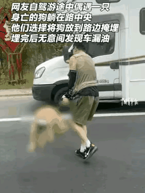 但行好事莫问前程，一个男子在高速公路上行驶时，发现在高速公路上有一条身亡的狗狗，