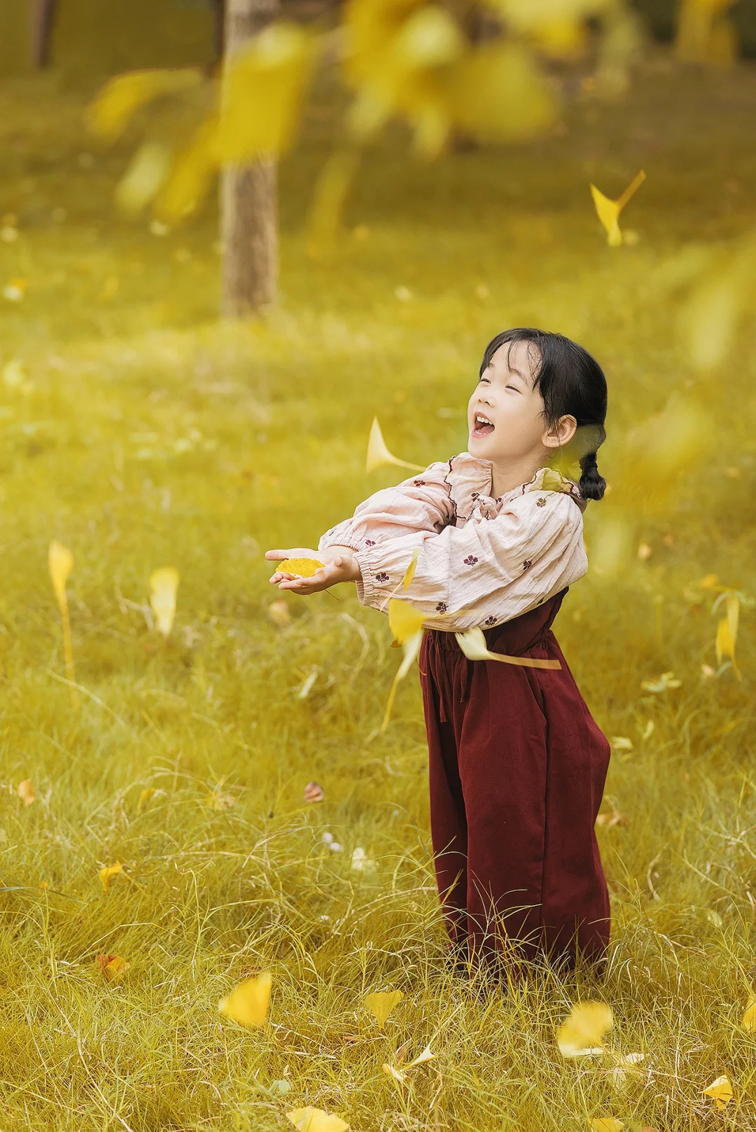 🍂银杏黄了，秋天真的来了吗？