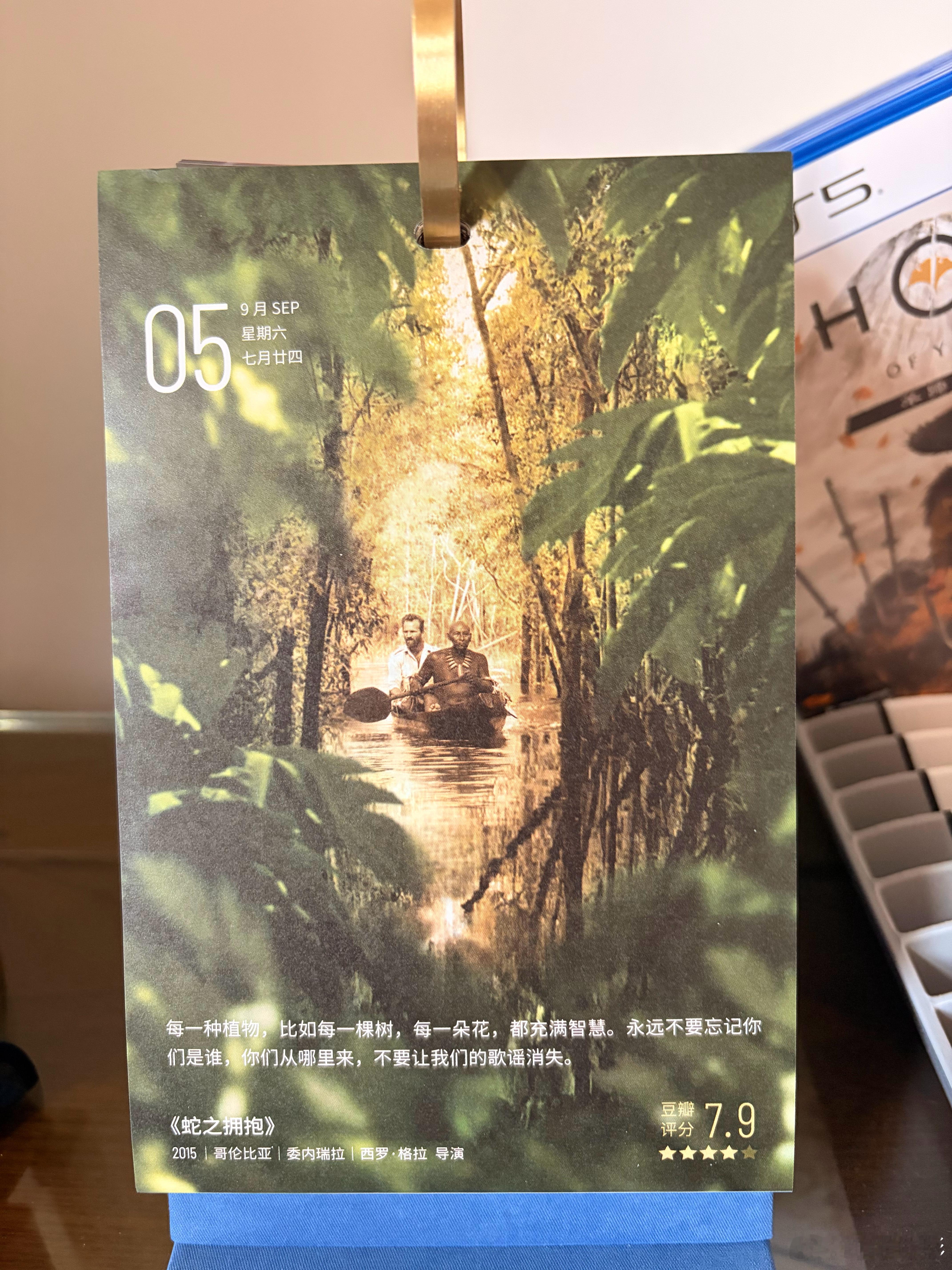 每一种植物，比如每一棵树，每一朵花，都充满智慧。永远不要忘记你们是谁，你们从哪里
