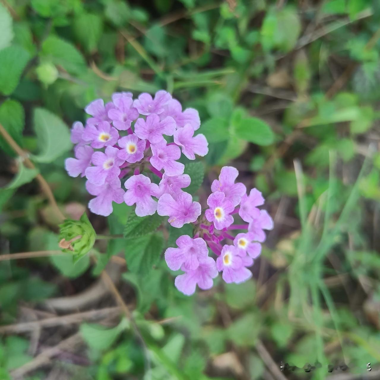 姐妹们，一个常常让你心痛流泪的人，早点离开他吧，因为他根本不懂你，也不在乎你，要