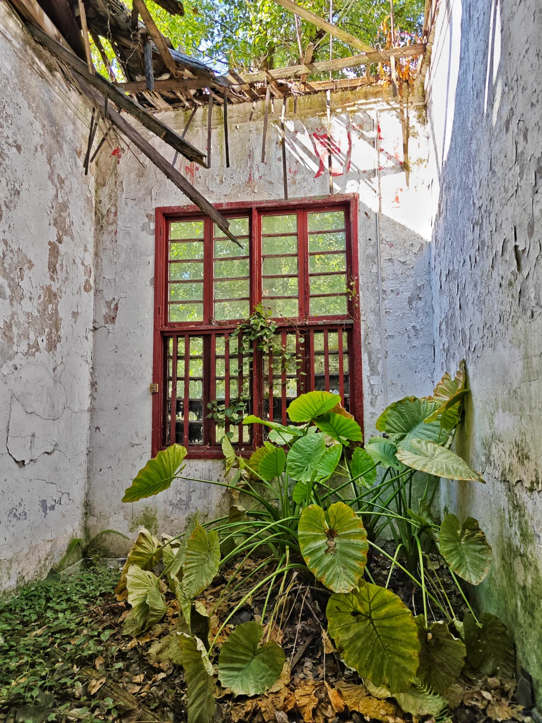 有点像宫崎骏的小木屋citywalk298