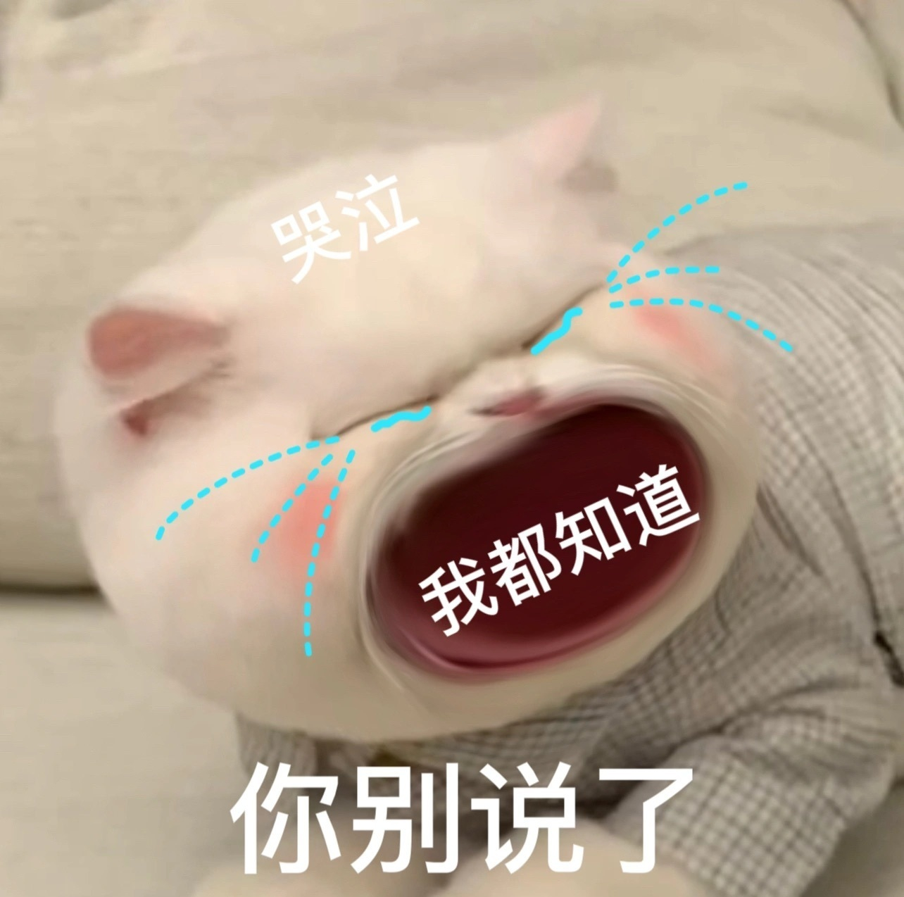 【瓶装水或含24万微塑料？】最近，关于微塑料的讨论越来越多。微塑料是指直径小于5