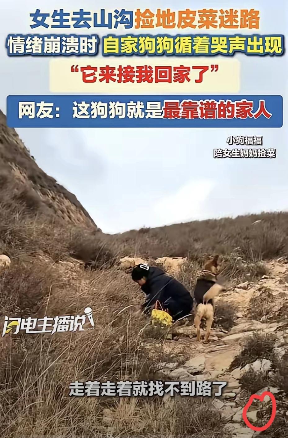 真正的安全感，从来不是满格信号，而是有人不顾一切奔向你。
 
山西一位女子进山捡