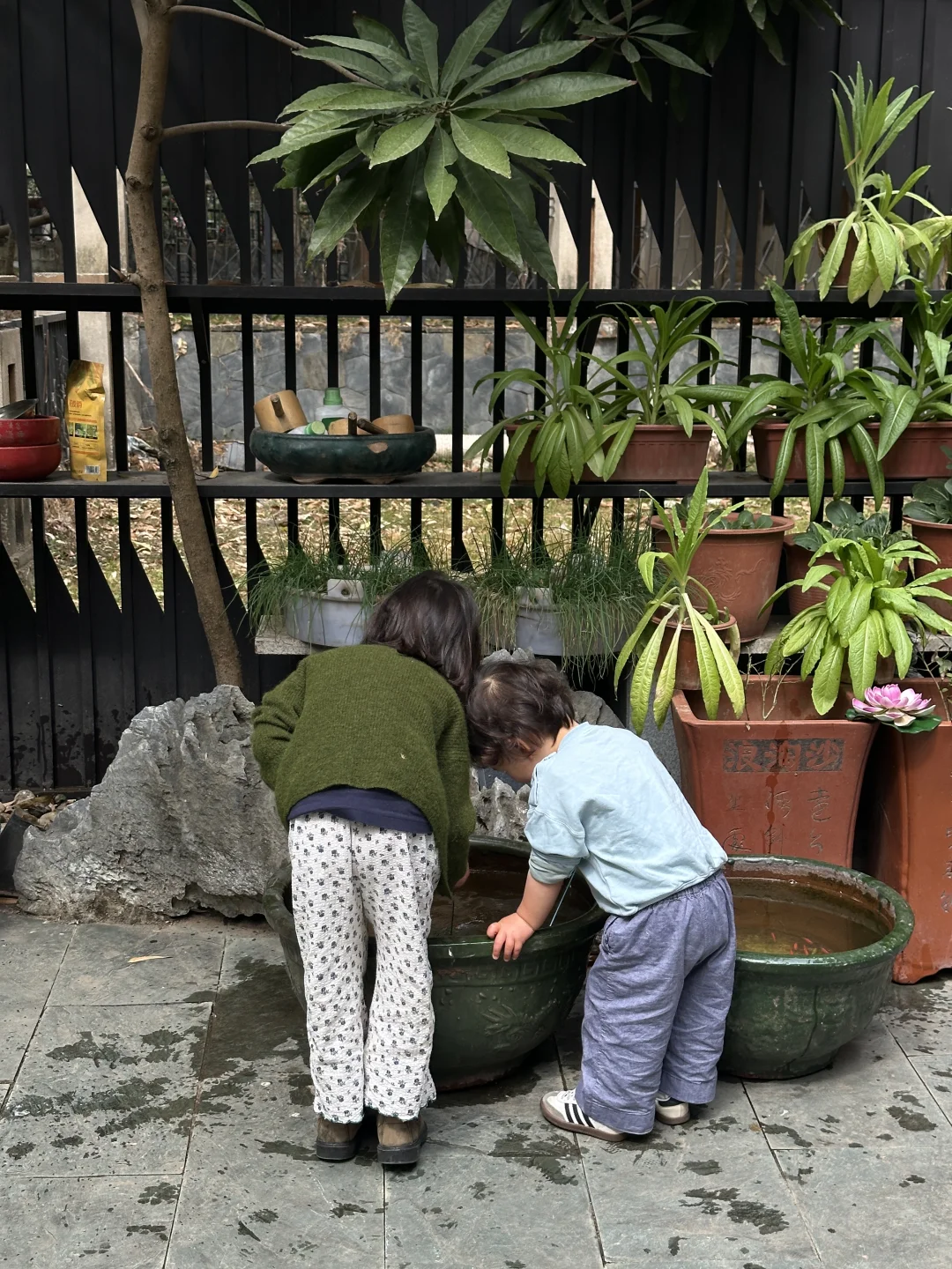 回中国过新年（二）🎏