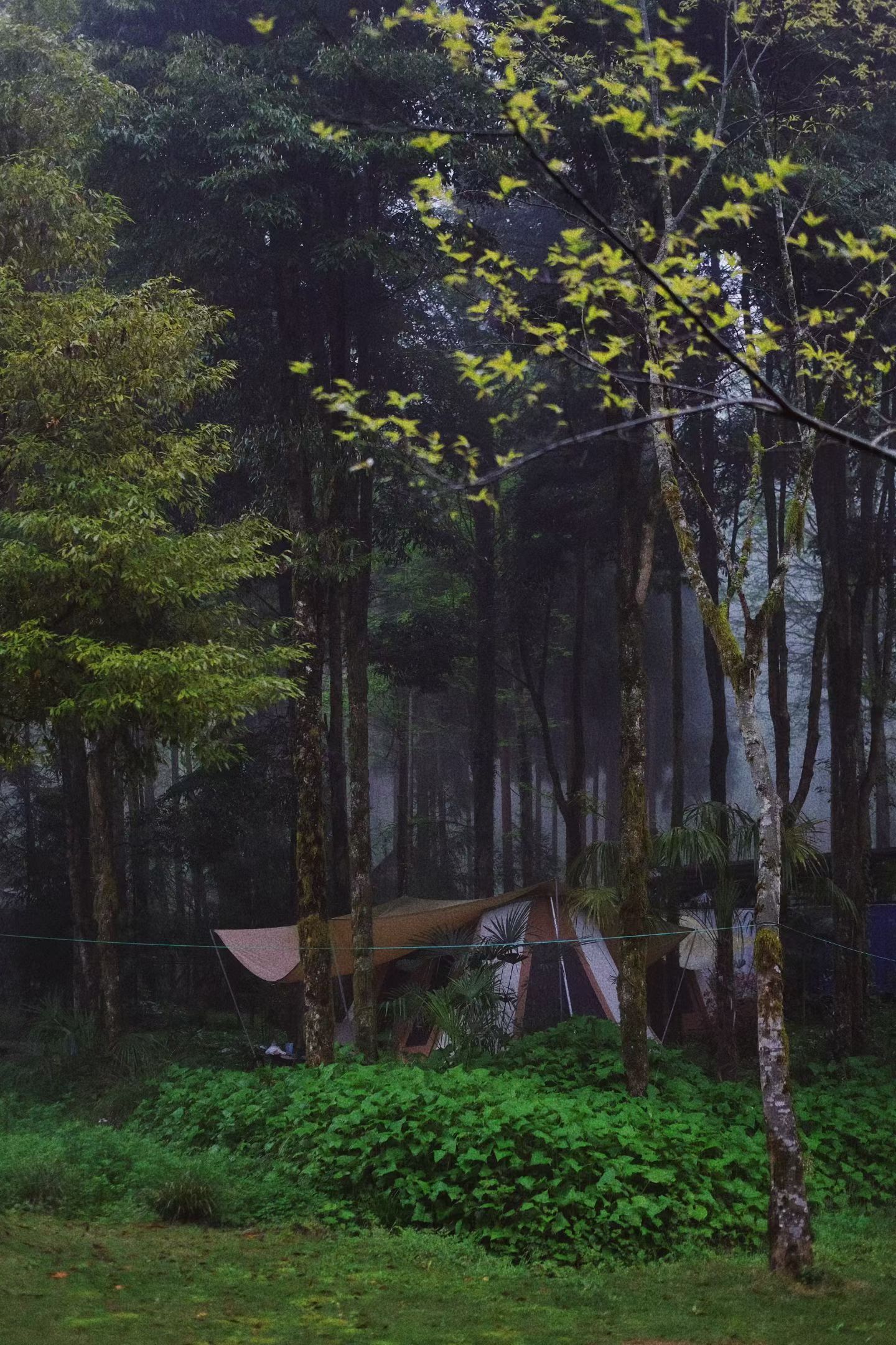 站在春天中间春天住在山里，画画、colorwalk。🍂🥀🫧colorwal