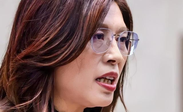 郑丽文日前再谈“欧盟模式”，并称“未来的两岸也是如此，不是说我们决定好了先有一个