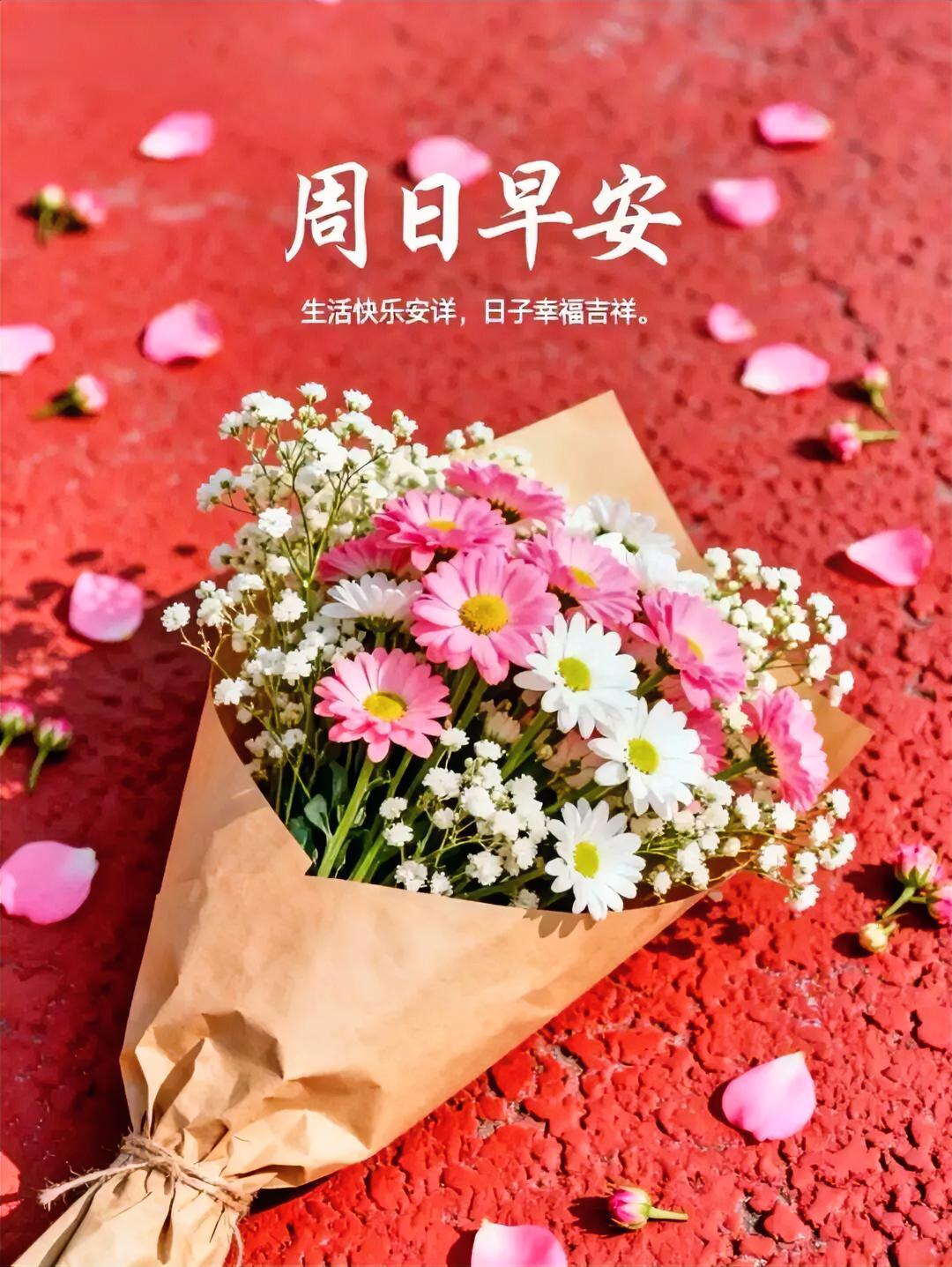 周日早安，捧一束粉白雏菊与满天星，在暖阳下许个愿：日子幸福吉祥，生活快乐安详。