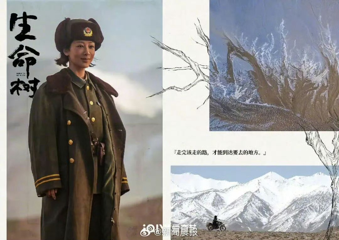 AI预测杨紫白玉兰视后只说实至名归，在我心中杨紫就是白玉兰视后，杨紫绝对配得上演