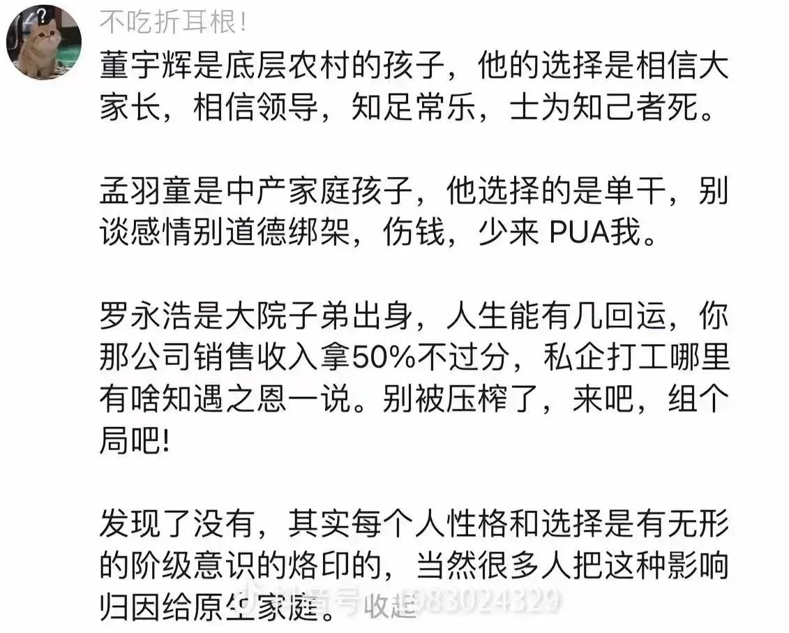 对董宇辉、孟羽童、罗永浩的总结，有点意思。 ​​​