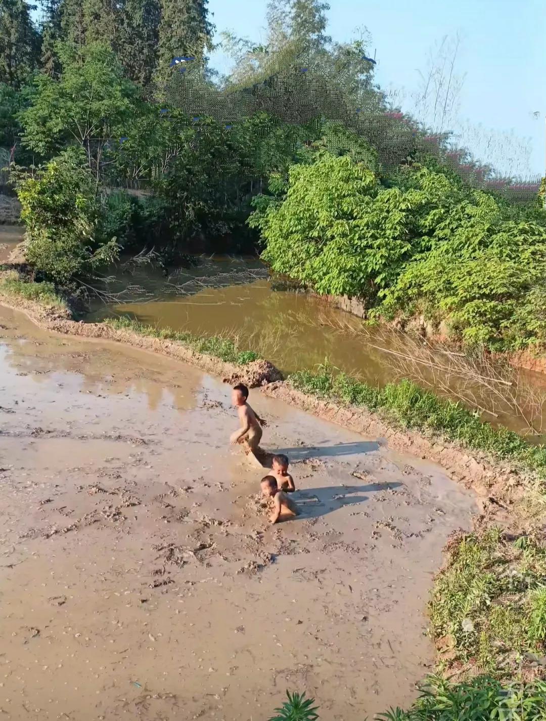 这才是小孩子该有的童年嘛

玩泥巴、摸田螺、爬树、抓昆虫、看流云、听风声、闻花香