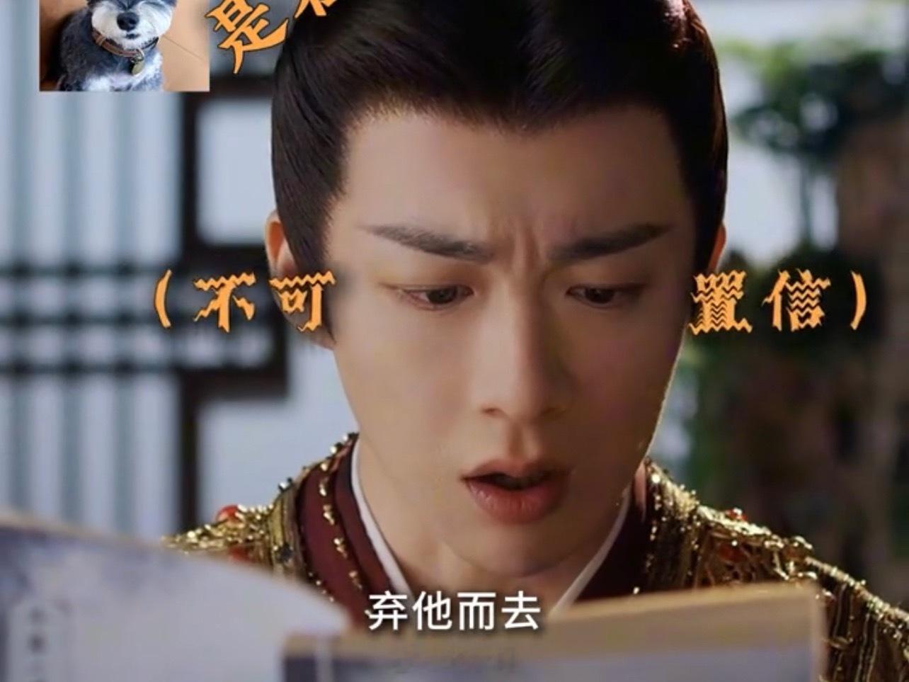 刘宇宁卷王追妻遇上猪队友 哦哟，就是说这么冷面的南珩，追女孩子的时候，也像个刚入