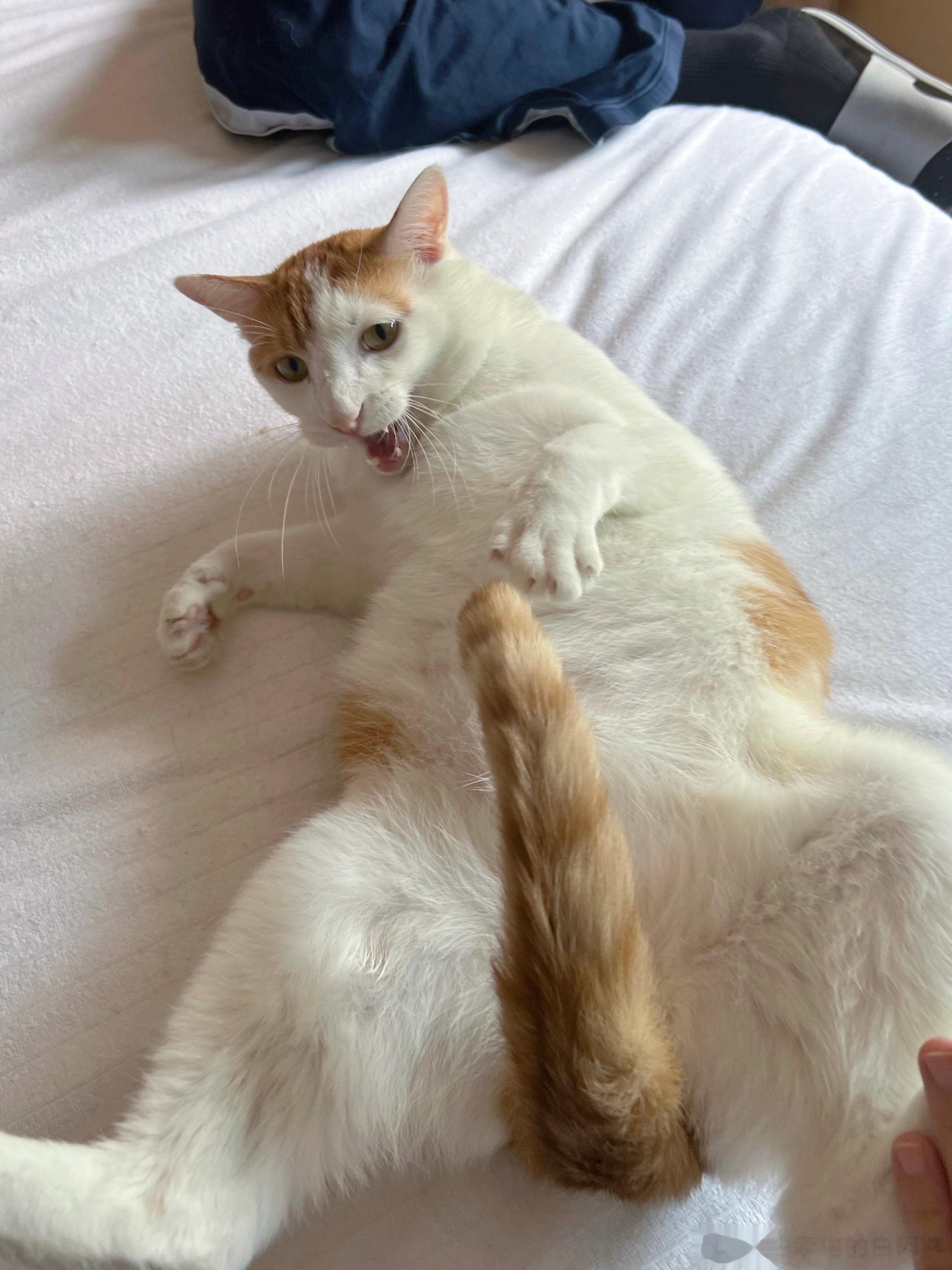 周末猴猴的一些丑图。看吧，我就说不能歇着，一歇就颓就挎脸！ ​​​