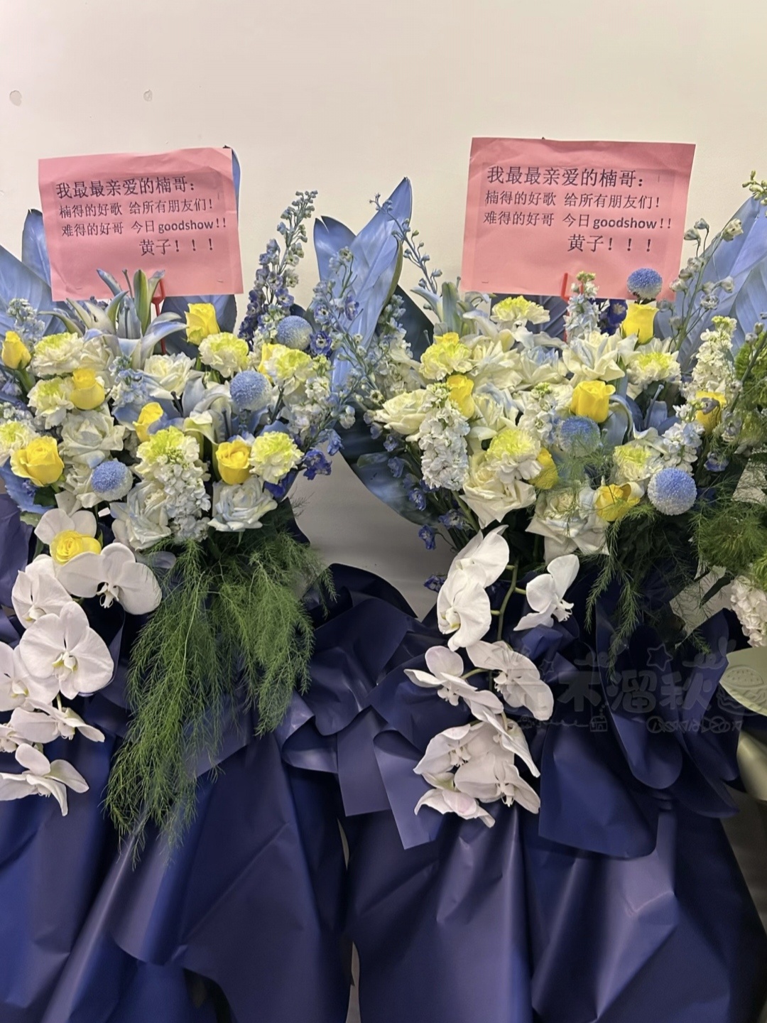 我孩子的花篮开口说话了:最最亲爱的楠哥  给所有的朋友们！今日goodshow！