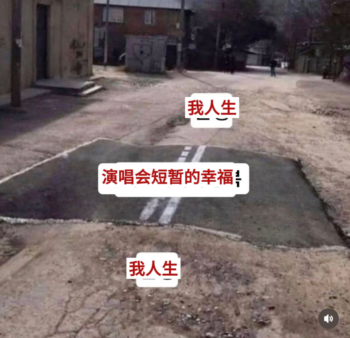 【twi】演唱会短暂的幸福 