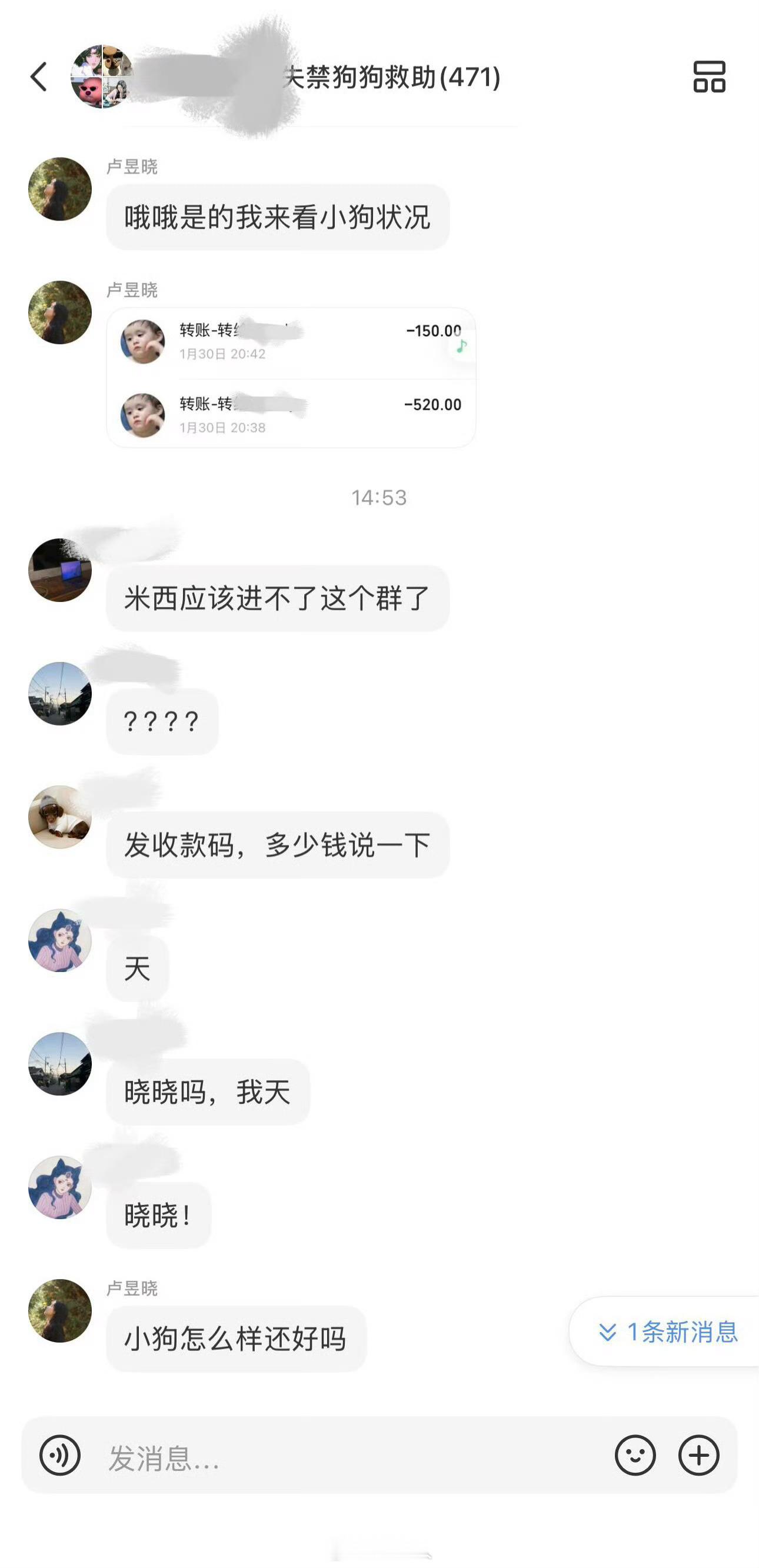 卢昱晓捐钱救助小狗卢昱晓给受伤小狗捐助 我天呐！有网友在小狗救助群里遇到了卢昱晓