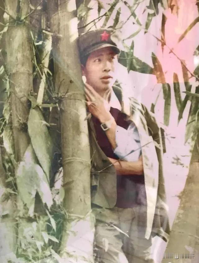 1984年，一战士为国捐躯，新婚妻子拒绝改嫁，并生下遗腹子。35年后，妻子和儿子