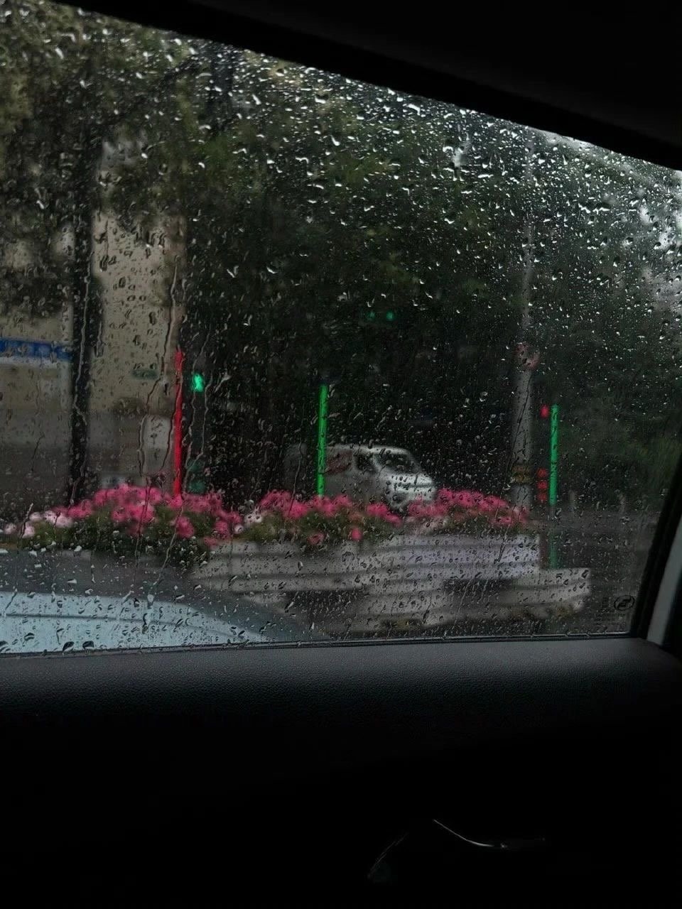 𝙍𝙖𝙞𝙣𝙮 𝘿𝙖𝙮𝙨 🌧         ▹本周天气：雨雨雨