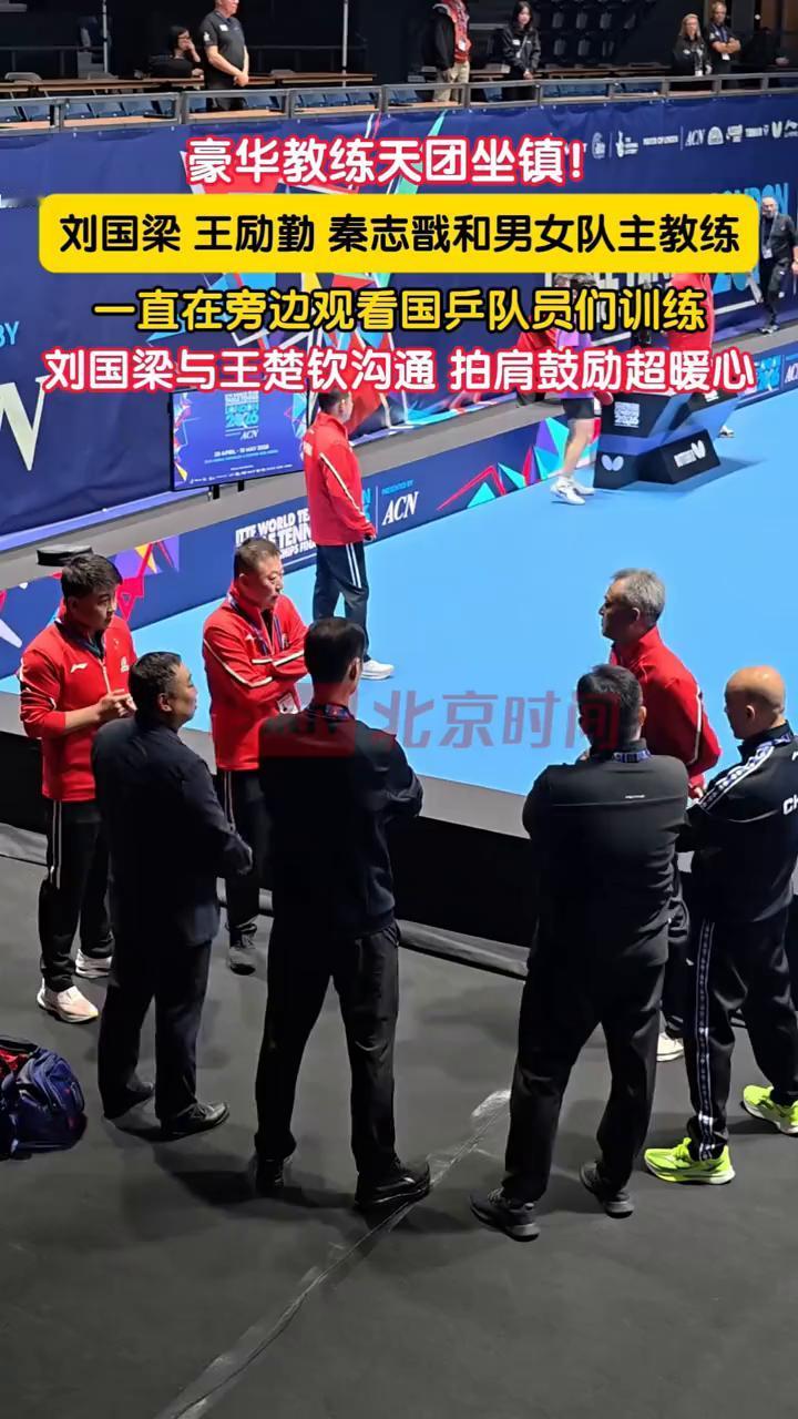 豪华教练天团坐镇！刘国梁、王励勤、秦志戳和男女队主教练一直在旁边观看国乒队员们训
