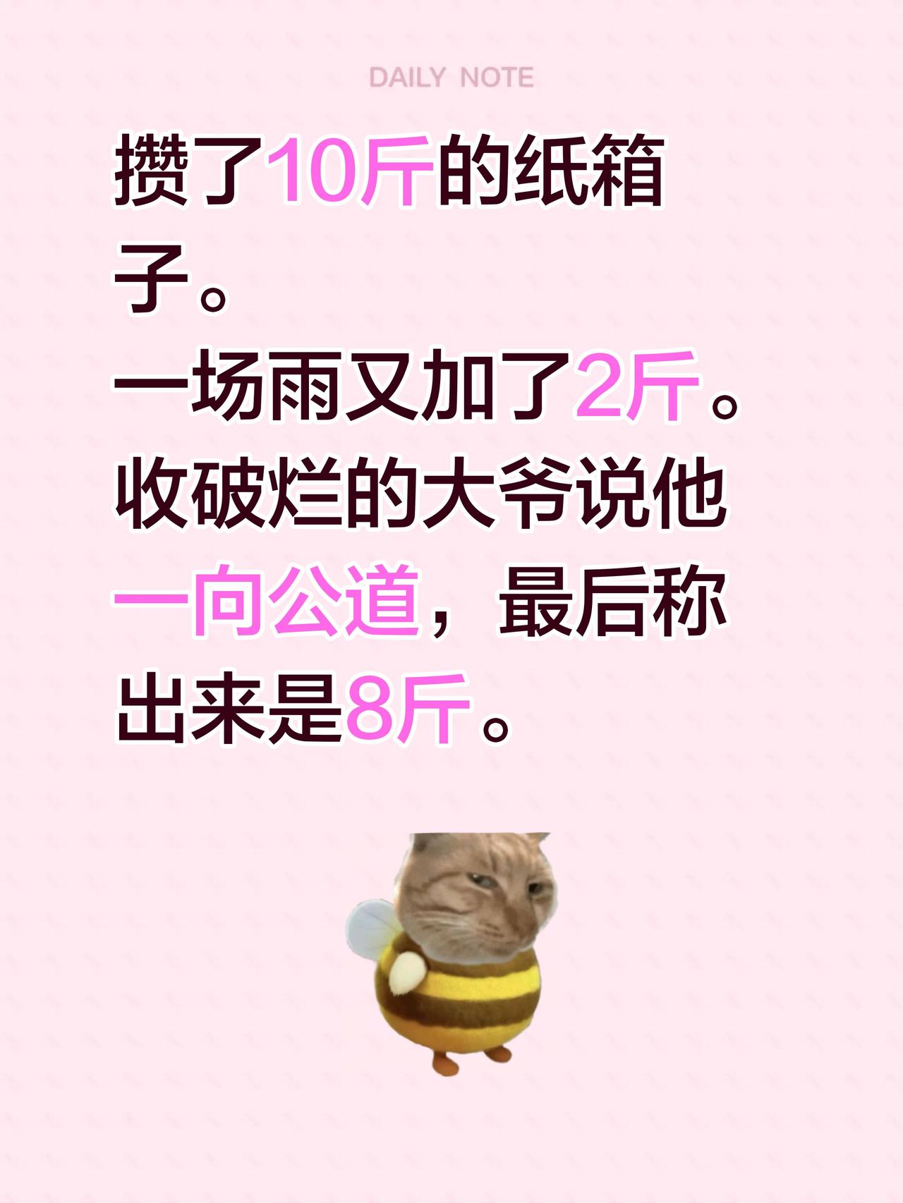攒了10斤的纸箱子。
一场雨又加了2斤。
收破烂的大爷说他一向公道，最后称出来是