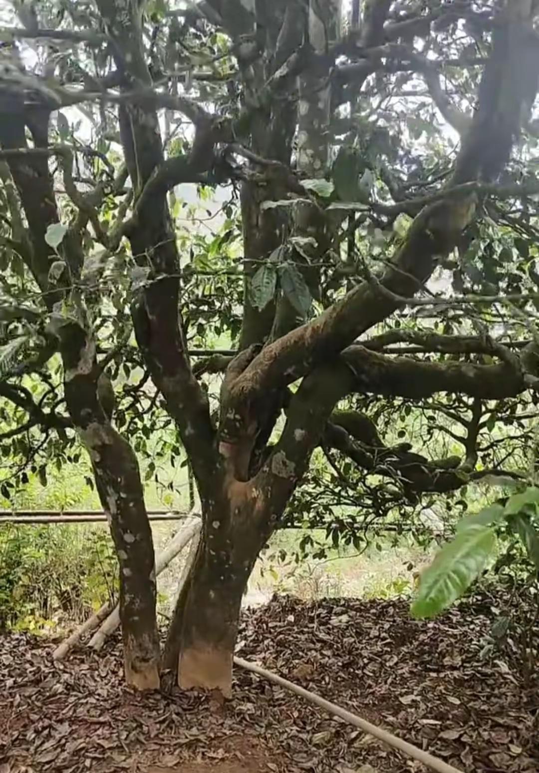 没有横空出世的运气，只有不为人知的努力。让我们把目标放远，把脚步放稳，在属于自己