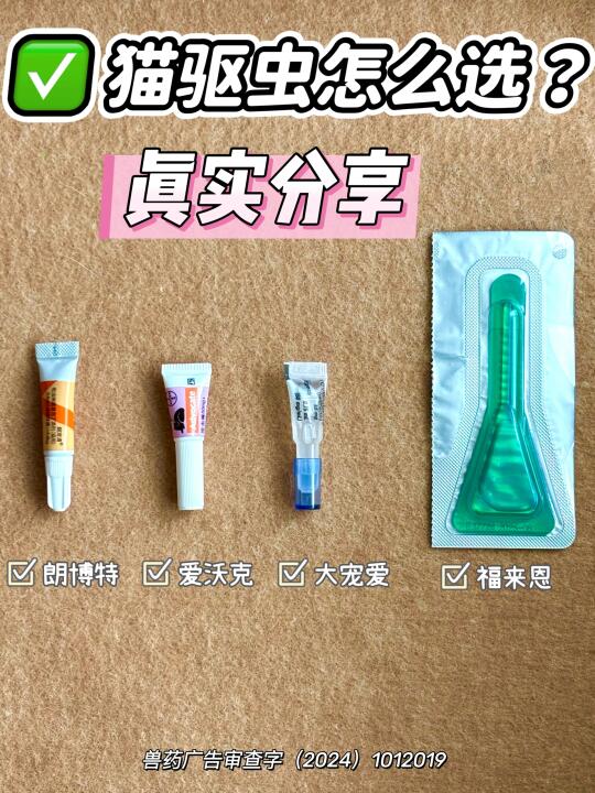 新手养猫，内外同驱怎么选才不踩雷？